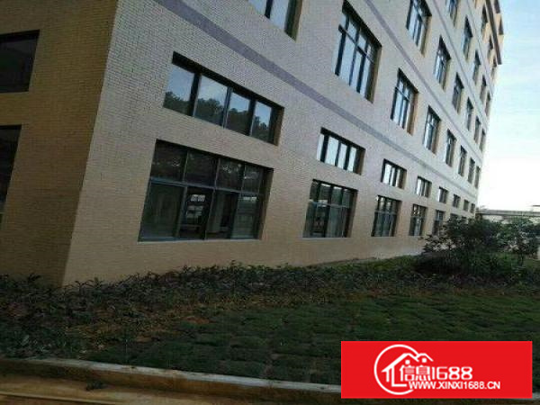 园洲全新重工业厂房出租，15层共5800m,包办环评。