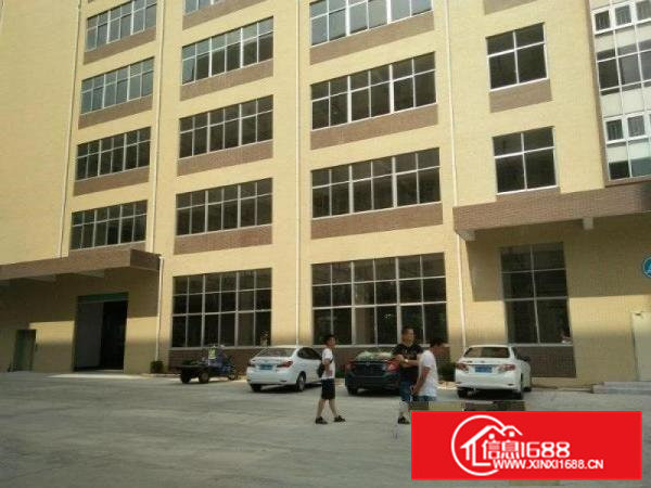 凤岗一楼600到2000平米6.5米高厂房出租