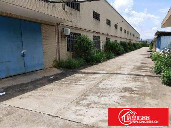 博罗龙溪！万能厂房！排水，气味，噪音来者不惧！周边无居民！