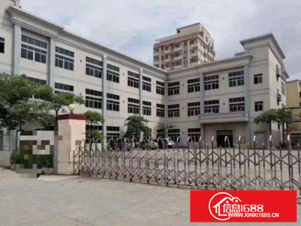 恒泉一楼600平实际面积招租豪华装修水电办公室齐全