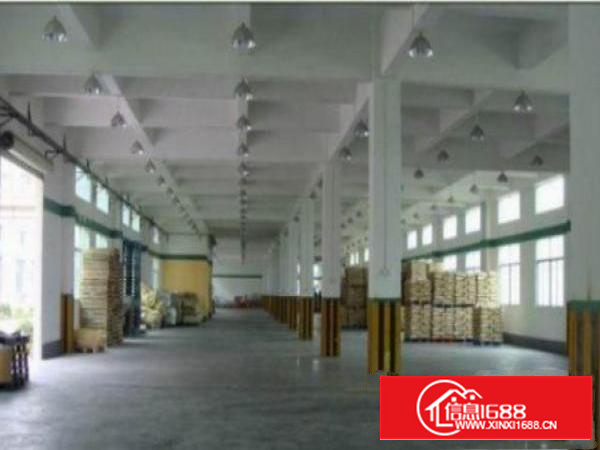 万江简沙洲港口大道边3楼4500平方厂房仓库出租轻工业生产等