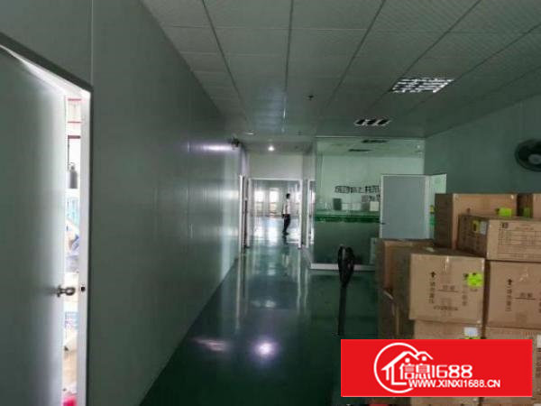 带装修无尘车间厂房整层1500平方招租