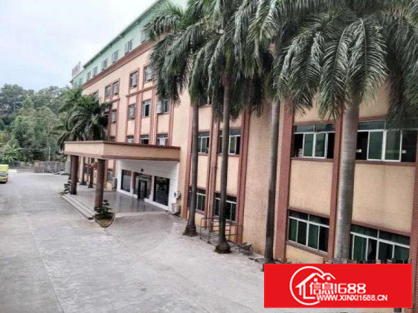 大朗独门独院厂房！形象极佳！