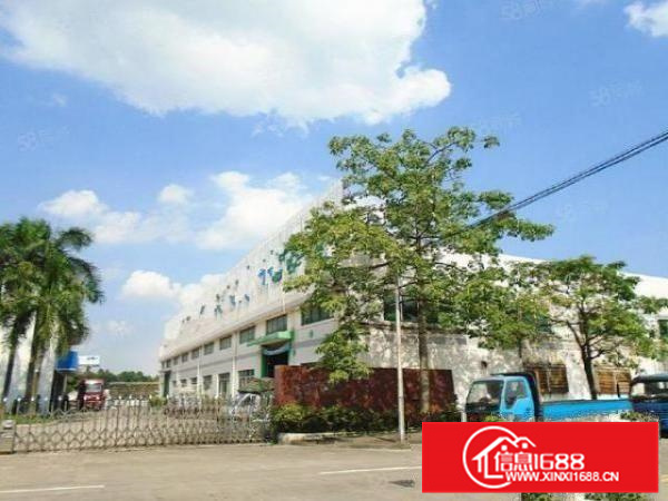 狮山稀有独门独院厂房出租国有证电大空地大形象佳