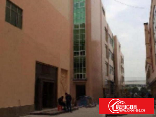 万江标准一楼1300平方招租水电齐全交通方便适合机械、五金塑