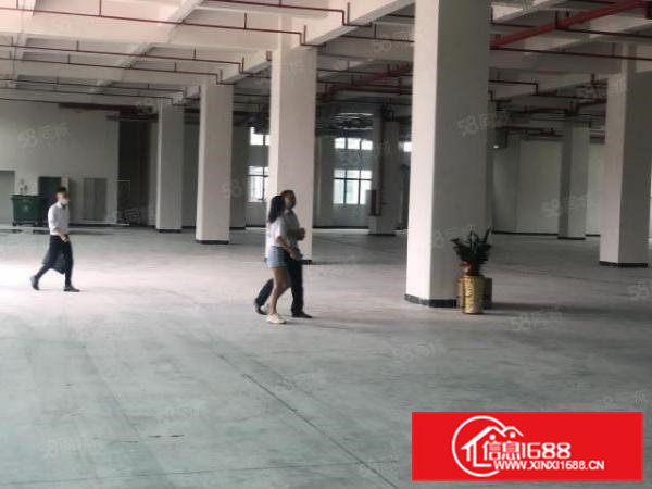 常平厂房出租1800平方一楼原房东水电齐全实际面积出租