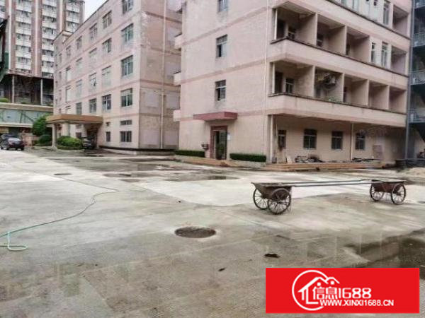 观澜独院6500平厂房出租