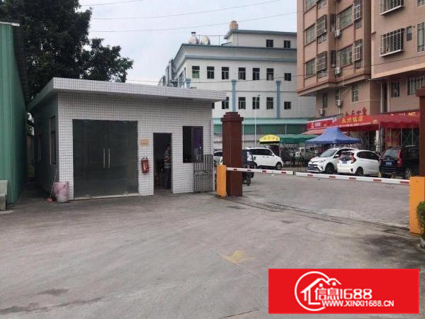 大朗独门独院24000平方单一层标准厂房