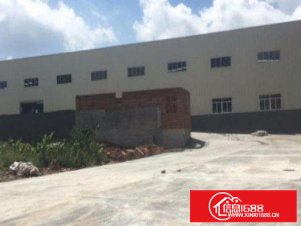 高埗单一层独院钢结构厂房厂房面积4200㎡招租