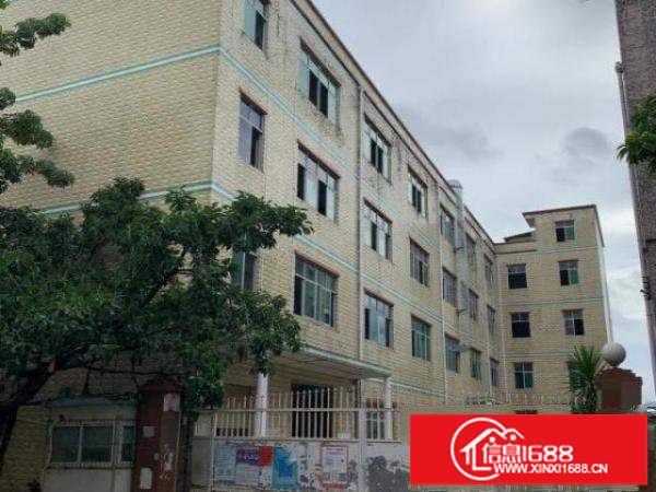 坪山新区原房东1400平厂房出租，价格超实惠