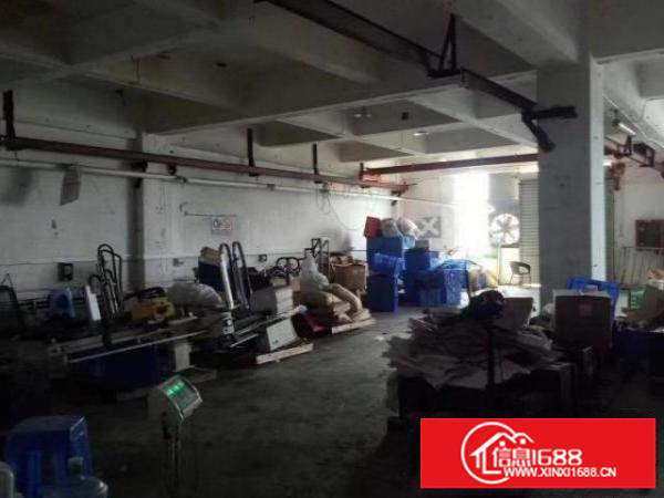 松岗碧头楼上500㎡招租，现成行车，有办公室，水电到位。