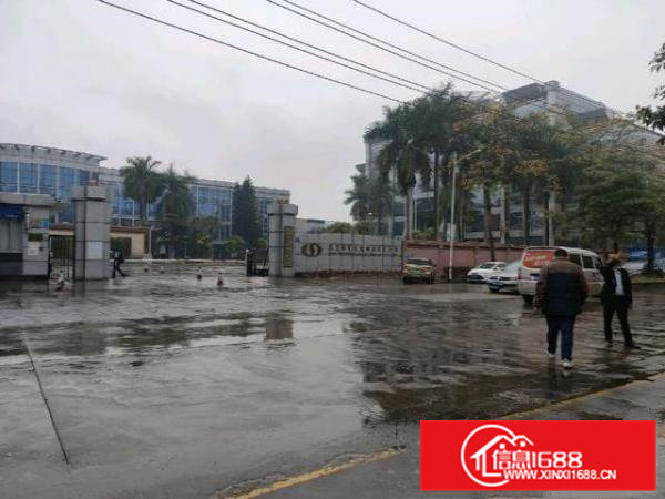 水电齐全豪华装修高度10米