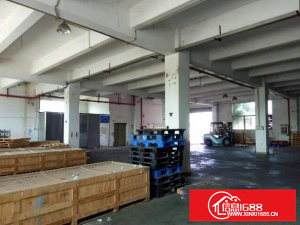 惠阳新圩新空标准厂房一楼450平厂房出租可办环评