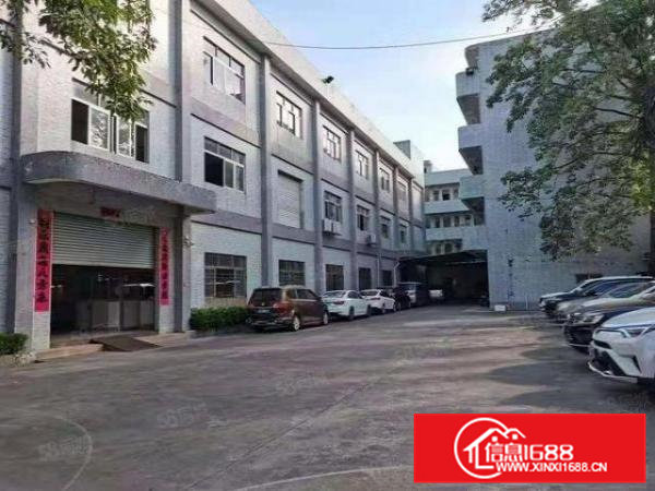 虎门居岐新出原房东楼上680平精装厂房出租实际面积出租