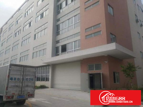 企石镇新出原房东标准厂房一楼1500平方，无公摊无杂费