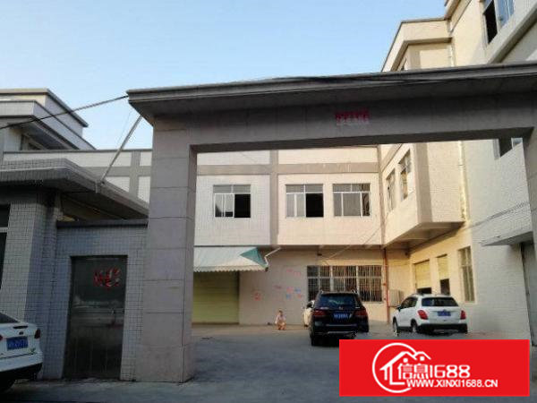 常平白花沥原房东标准楼上厂房500方无公摊水电齐全