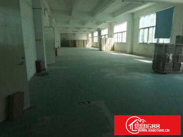 平湖新木村新出原房东厂房4800平可大小分租