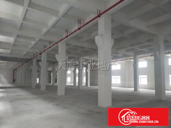 顺德9800方独门独院厂房！租金超便！可过环保！