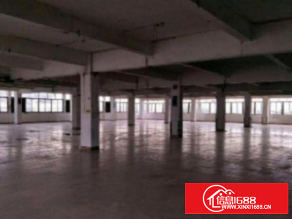 万江5000平方标准独院3层花园式厂房招租交通方便