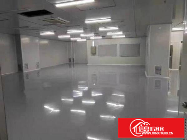 东莞大岭山园区无尘车间厂房1500平米