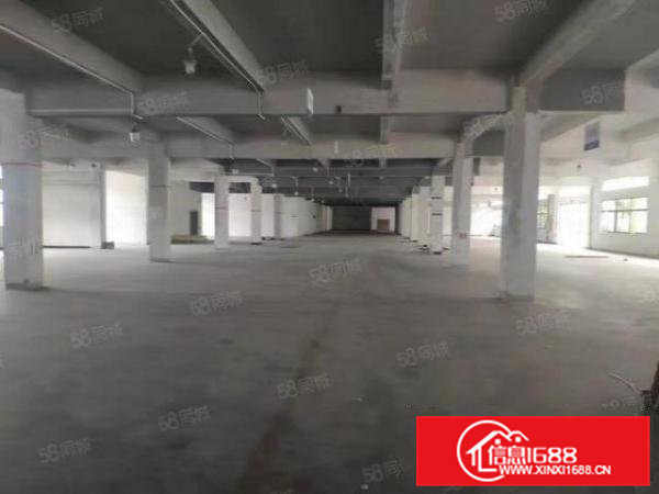 石排标准加单一层厂房出租4200方，现成办公室！