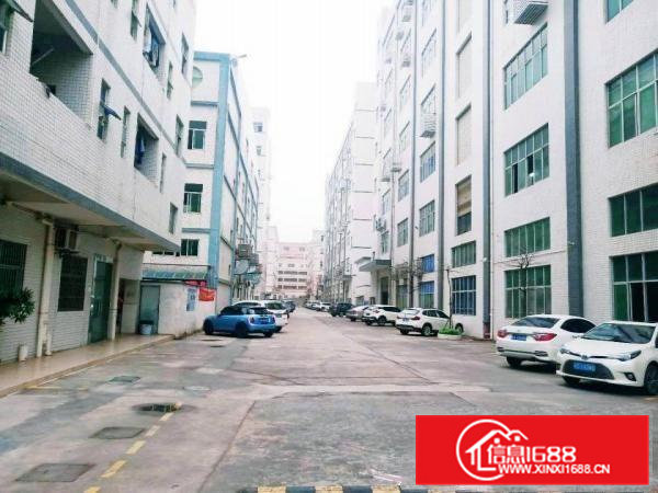 金凤凰精装修1650平，电子行业拎包生产。