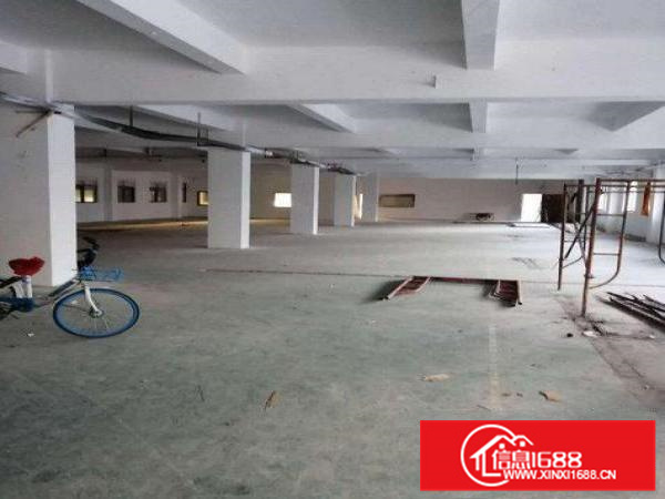 惠州新墟500平方标准一楼形象好厂房出租整租