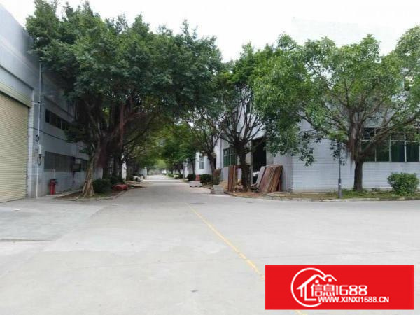 大亚湾西区比亚迪旁1200平国土证有红本滴水7米