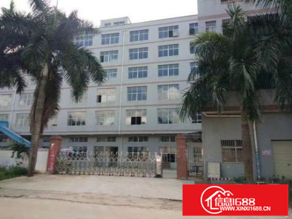 龙岗中心城附近标准独门独院可分租