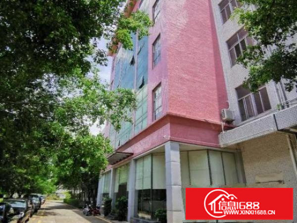 坪山大工业区厂房出租，大小可分租，手续齐全原房东