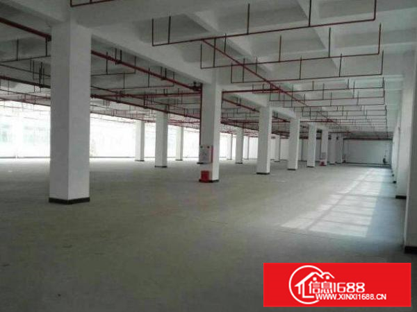 惠阳新墟2000平方米独门独院标准厂房出租可分租