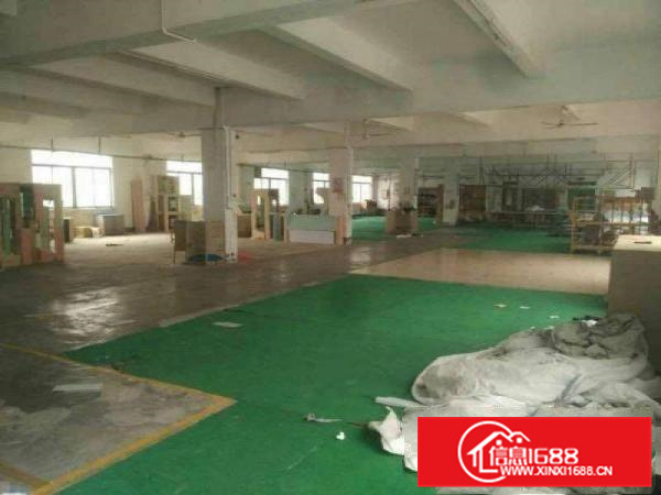 惠阳秋长白石原房东1800平方四楼厂房出租