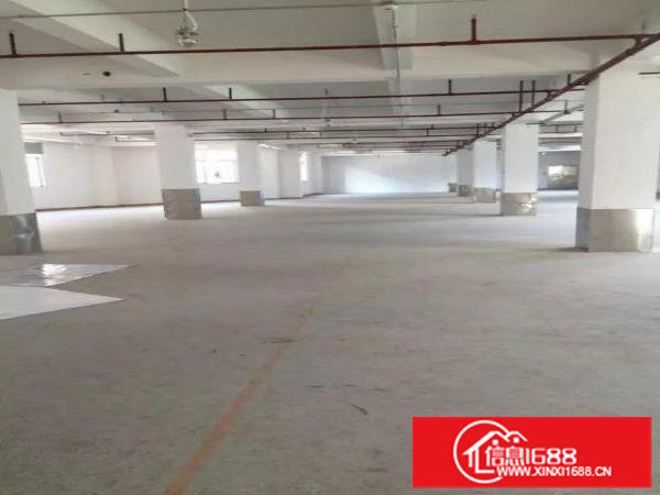 坂田上雪大工业区800平方出租