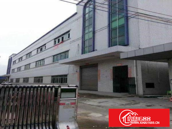 带豪华装修厂房招租）大朗镇中心新出楼上1350平