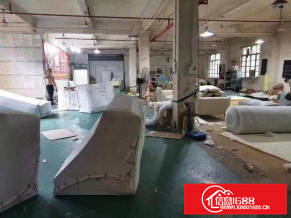 沙富4400方独门独院带办公室展厅，宿舍