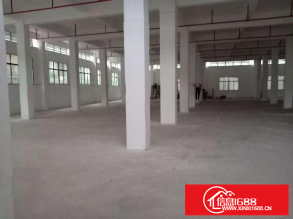 横沥镇新四村刚刚新出一楼原房东800平方价格超级便宜