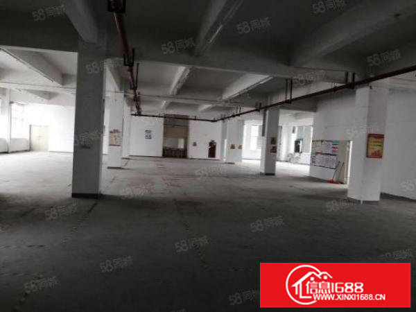 大浪金瑞中核新出一楼1300平二楼2100平带装修无公摊厂房