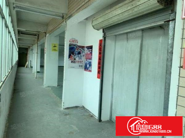 观澜君子布楼上360平,格局方正,带标准货梯,空地大好停车