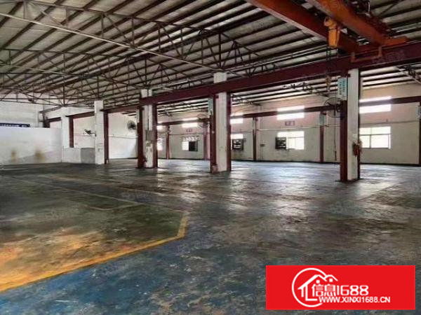虎门树田6米高钢构厂房2600平米招租可分租