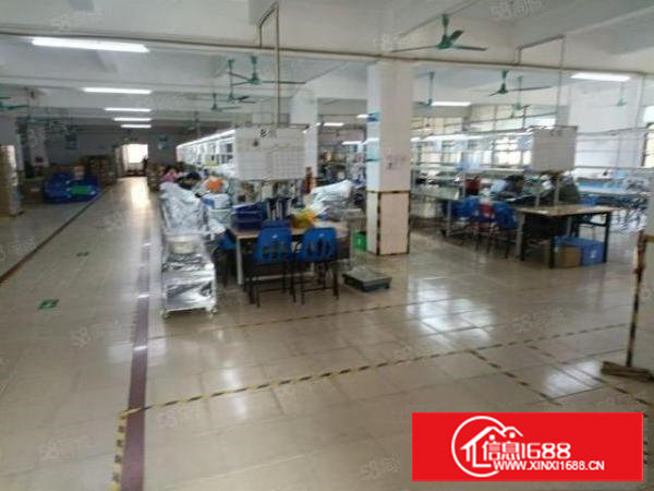 塘厦大坪高速口新出楼上1600平米出租，豪华装修，无转让费