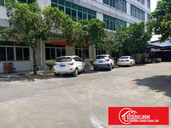 原房东独门独院标准厂房一楼证件齐全能办环评空地超大