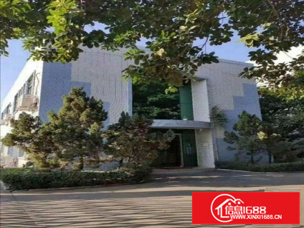 原房东带地坪漆可办环评带喷淋红本标准厂房