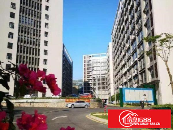 龙岗坪地国际低碳城精装修二楼厂房1200平