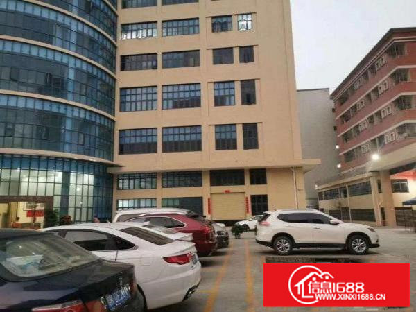 大岭山镇新出标准一楼带牛角厂房1000平方低价急出租