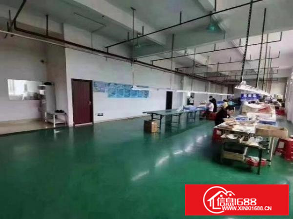 凤岗带地坪漆办公室电子加工装配厂房出租楼上970平空地大