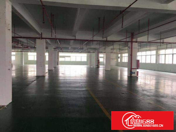 高埗工业园楼上带装修厂房分租1500平方左右