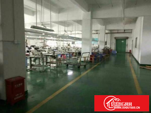 龙岗新生新空二楼500平方租14带电梯办公室