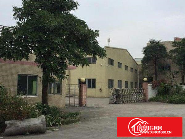 高埗单一层钢构厂房带牛角空地超大停车位足可办环评