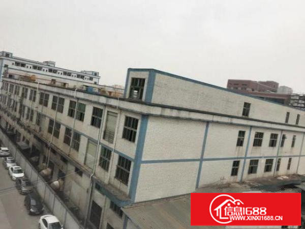 业主直租松岗燕川一楼1300平米高6米重工业厂房招租