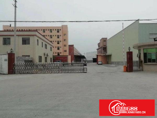 大岭山新出滴水9米高钢构厂房3200平方招租